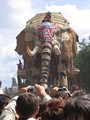 L'éléphant cour Saint-Pierre